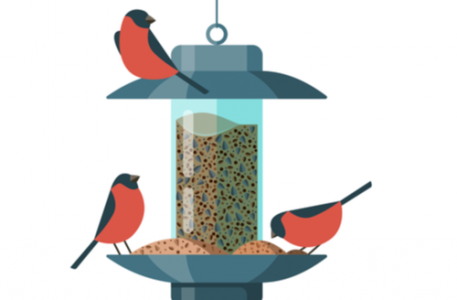illustration of three birds sitting on a bird feeder