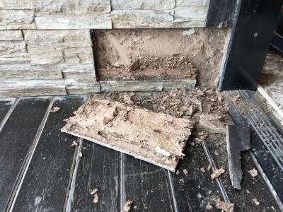 panel with termite damage