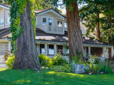 Big old residential house with big tree stems in front