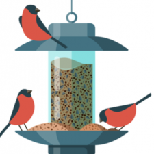 illustration of three birds sitting on a bird feeder