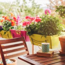 outdoor plants, watering, deck, porch, flowers, potted plants
