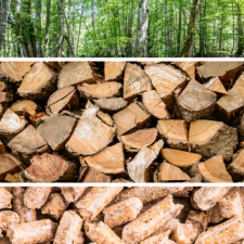 A forest, a stack of logs, a pile of wood pellets